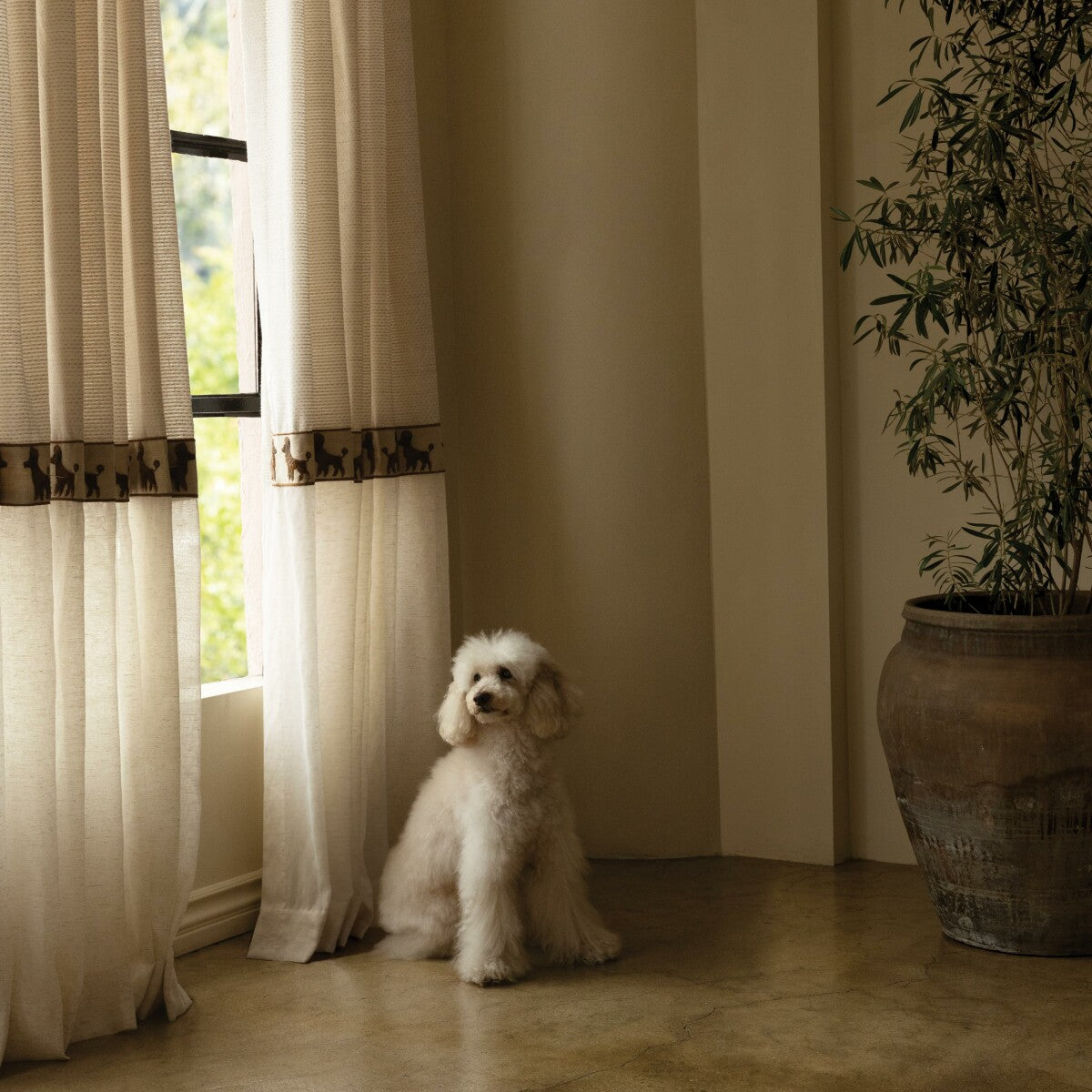 3.65″ Poodle Bouclé Border