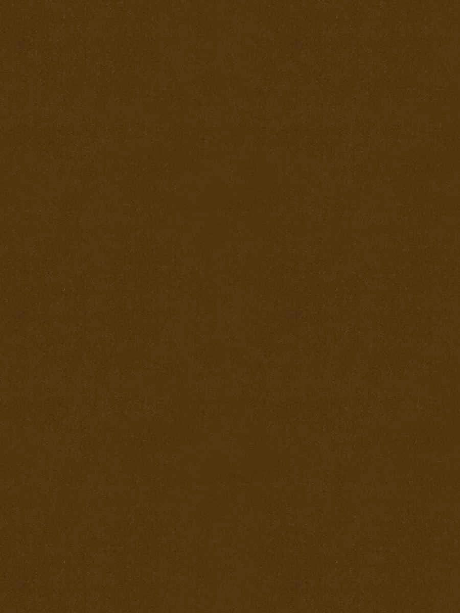 Nottingham Velvet – Luxury Solid Cotton Velvet, Gold