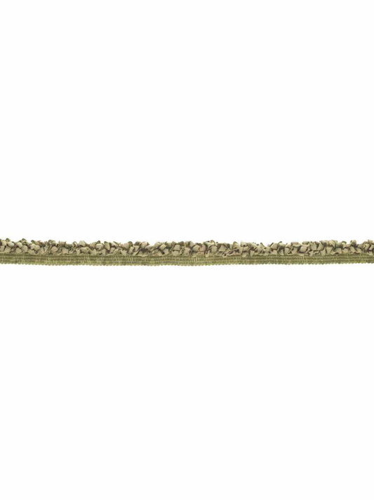 Cairo Tape – Cord-On-Tape Border Trim, Green