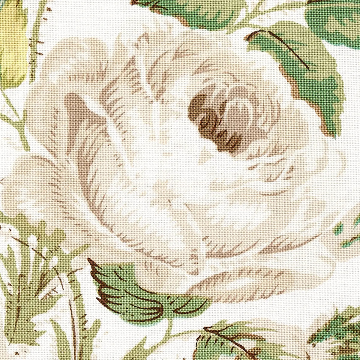 Loudon Rose Fabric – Romantic Painterly Cotton Rose Bouquet (54” Width)