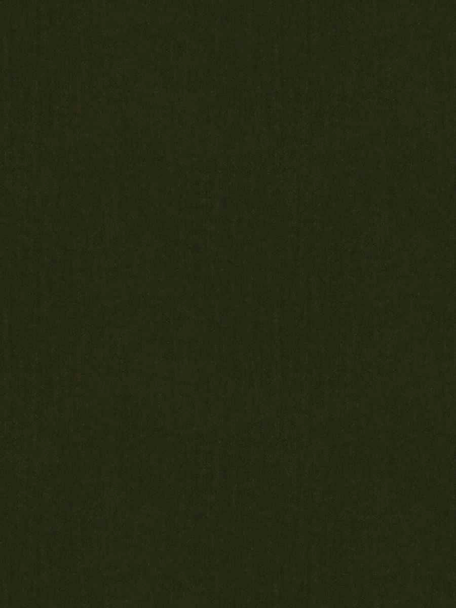 Nadira Velvet – Luxury Solid Performance Velvet, Solid, Texture Plain, Green
