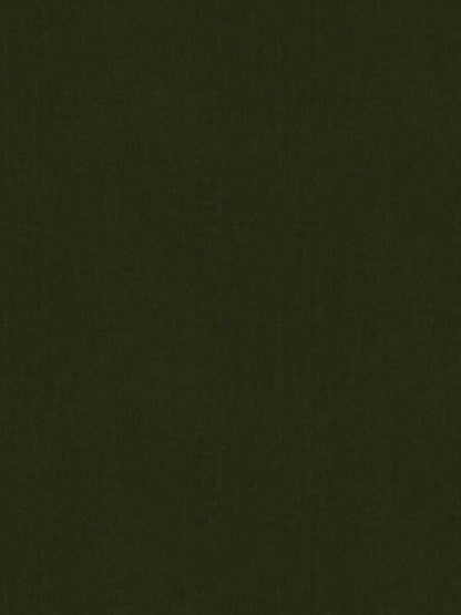 Nadira Velvet – Luxury Solid Performance Velvet, Solid, Texture Plain, Green
