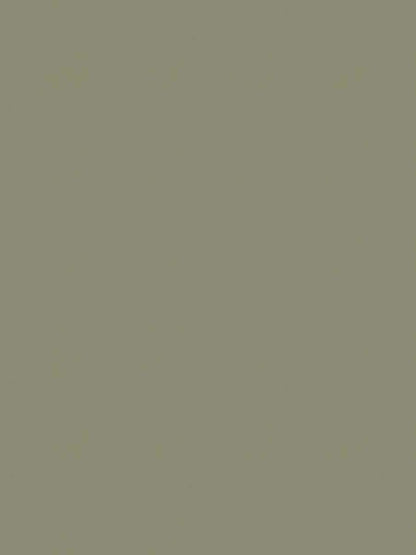 Como Velvet – Luxury Solid Cotton Velvet