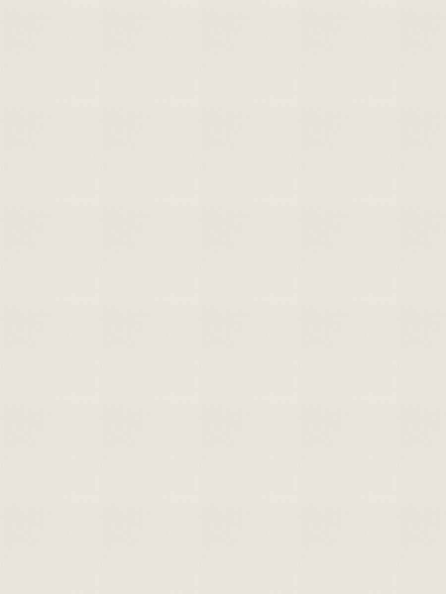 Como Velvet – Luxury Solid Cotton Velvet, Off White / Ivory