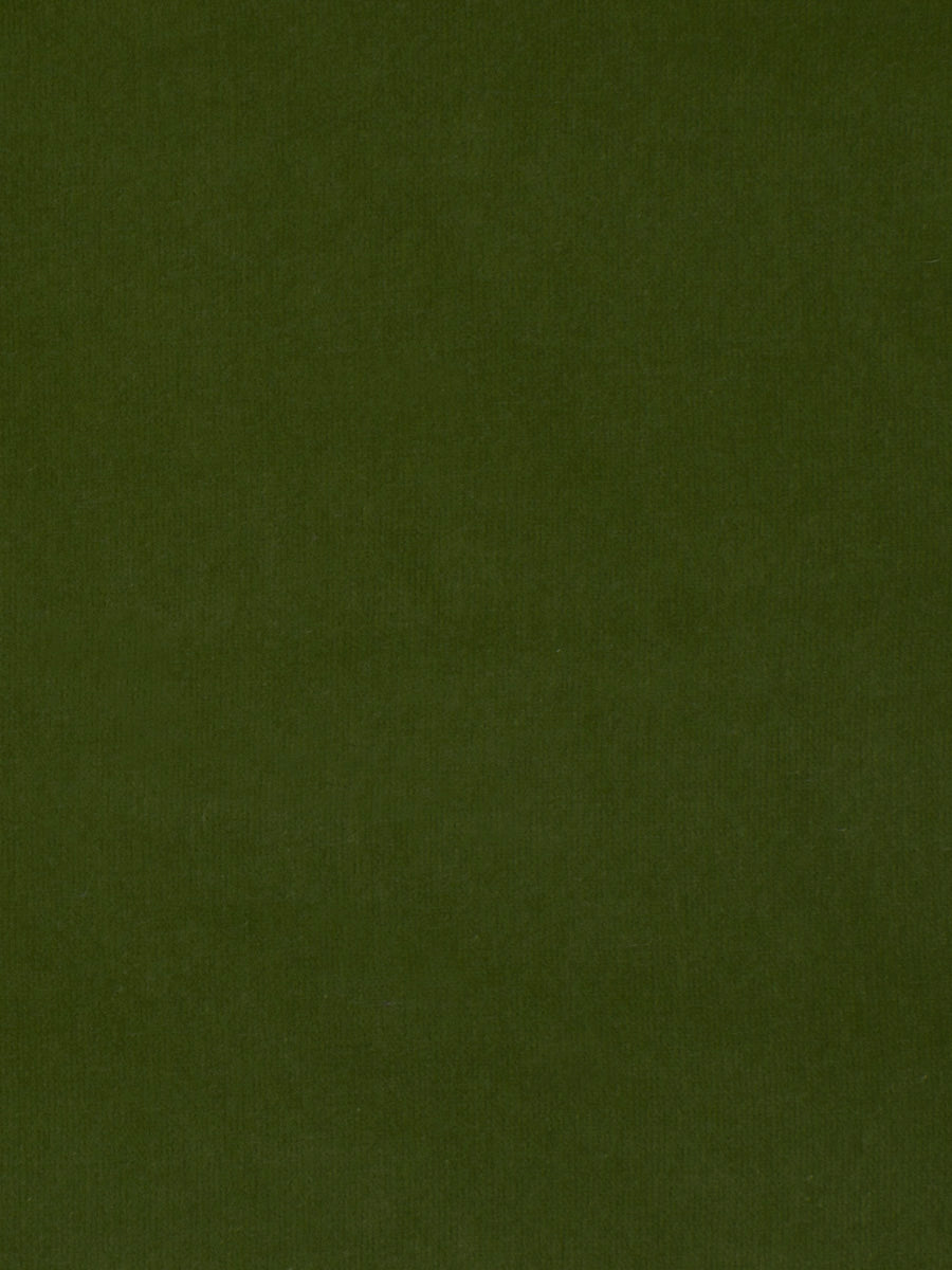 Rivoli Velvet – Luxury Solid Velvet Fabric, Green-2