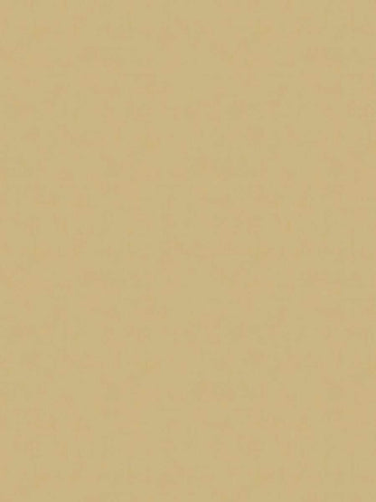 Rivoli Velvet – Luxury Solid Velvet Fabric, Off White / Ivory-3