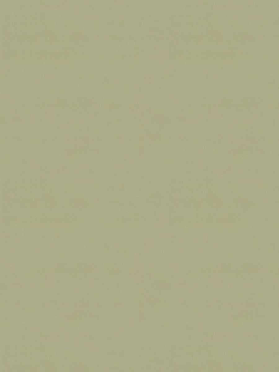 Rivoli Velvet – Luxury Solid Velvet Fabric, Light Green