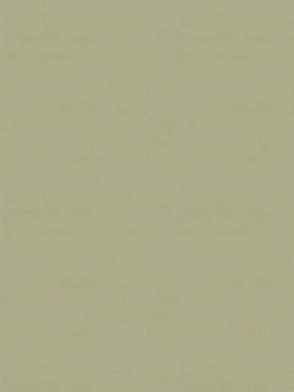 Rivoli Velvet – Luxury Solid Velvet Fabric, Light Green
