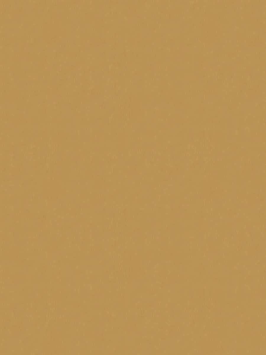 Rivoli Velvet – Luxury Solid Velvet Fabric, Beige-3