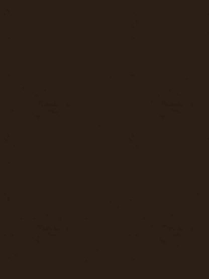 Rivoli Velvet – Luxury Solid Velvet Fabric, Brown-19