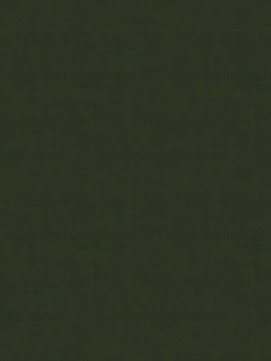 Rivoli Velvet – Luxury Solid Velvet Fabric, Green-8
