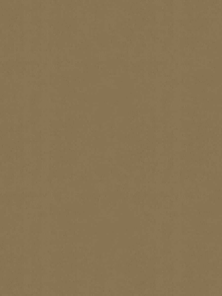 Nottingham Velvet – Luxury Solid Cotton Velvet, Beige