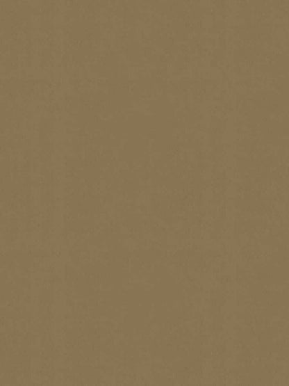 Nottingham Velvet – Luxury Solid Cotton Velvet, Beige