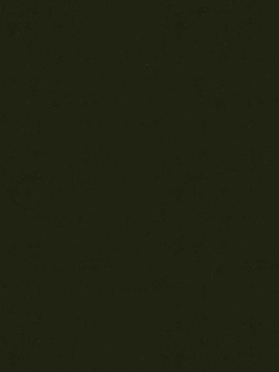 Nottingham Velvet – Luxury Solid Cotton Velvet, Green