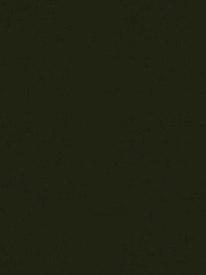 Nottingham Velvet – Luxury Solid Cotton Velvet, Green