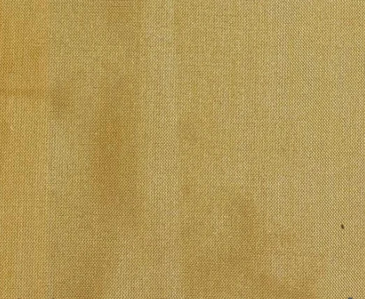 Dupioni Silk Solids - Ahmedabad