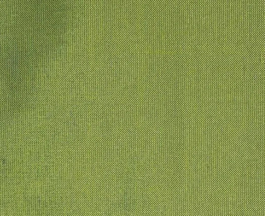 Dupioni Silk Solids - Ahmednagar