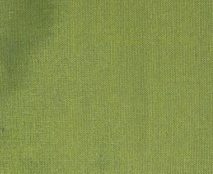 Dupioni Silk Solids - Ahmednagar