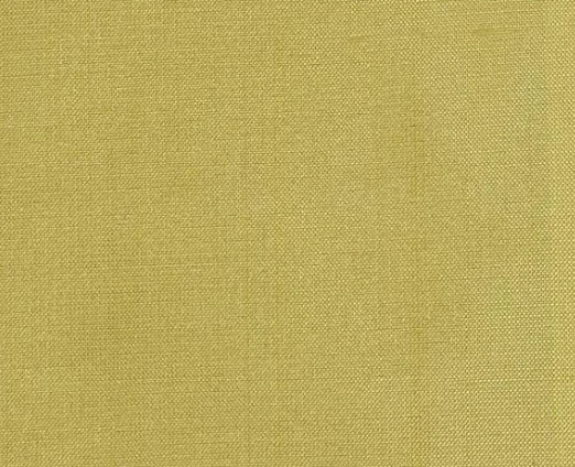 Dupioni Silk Solids - Amritsar