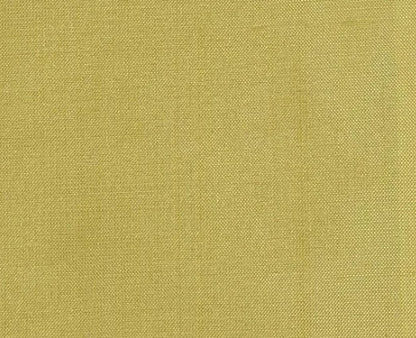 Dupioni Silk Solids - Amritsar