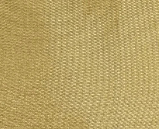 Dupioni Silk Solids - Baroda