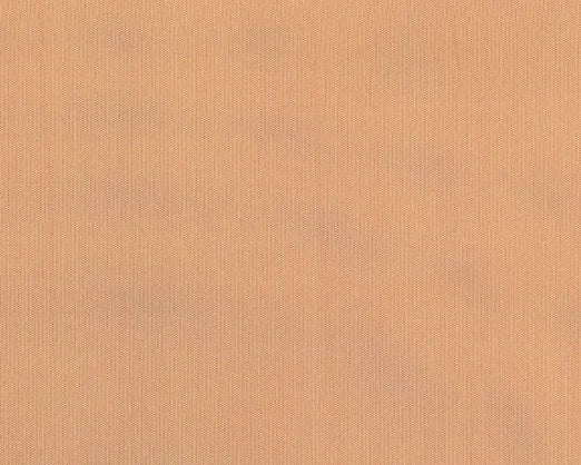 Solid beige color swatch with a subtle pattern
Olympia Taffeta Luxury Silk - Bellini