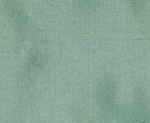 Dupioni Silk Solids - Bharatpur
