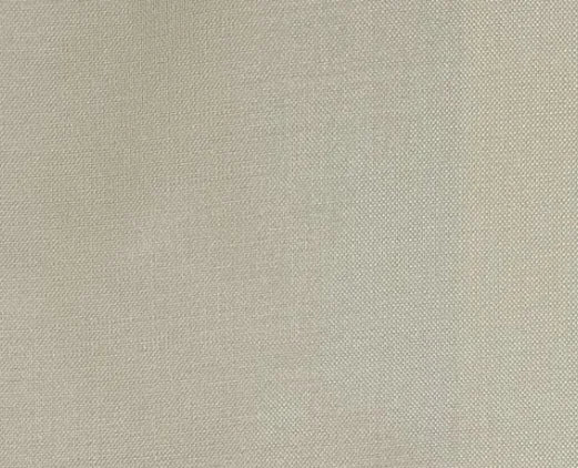 Dupioni Silk Solids - Bikaner