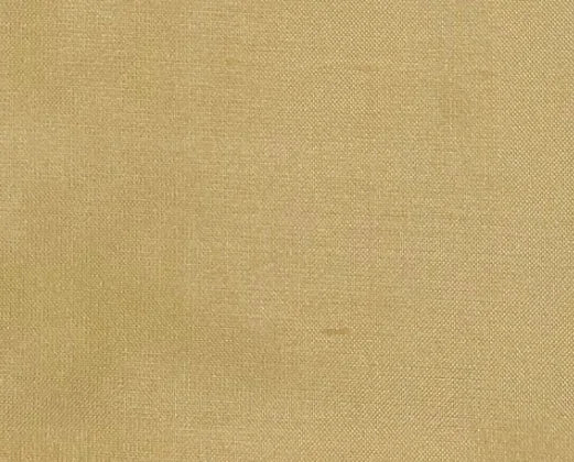 Dupioni Silk Solids - Calcutta