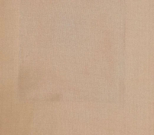 Dupioni Silk Solids - Chitoor