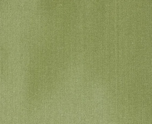 Dupioni Silk Solids - Guntur