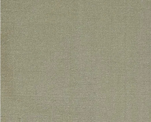 Dupioni Silk Solids - Jabalpur