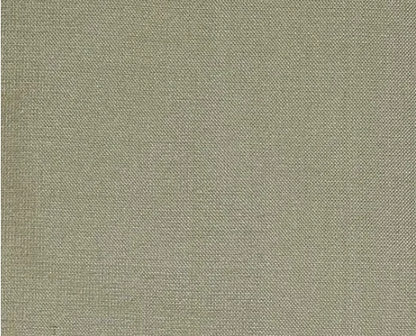 Dupioni Silk Solids - Jabalpur