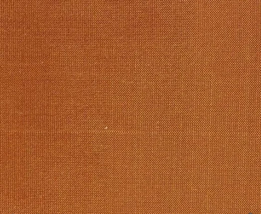 Dupioni Silk Solids - Jalandhar
