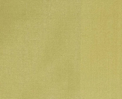 Dupioni Silk Solids - Jodpur