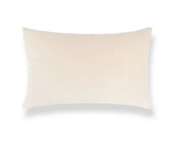 Beige pillow on a white background
TUDOR VELVET PILLOW
