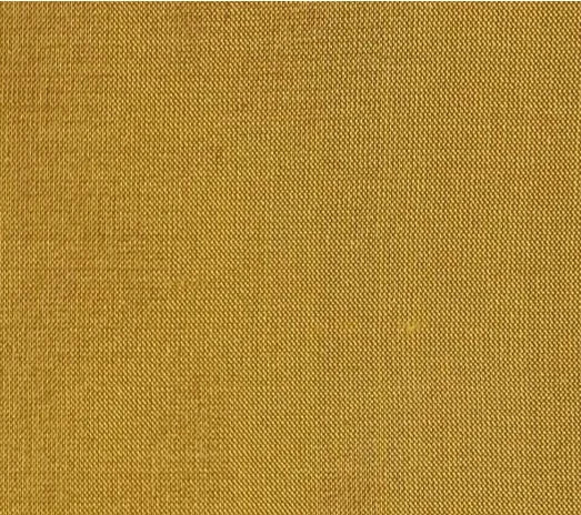 Dupioni Silk Solids - Nasik