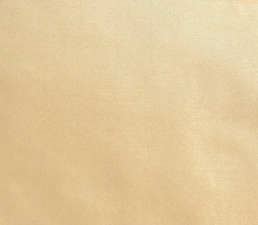 Dynasty Taffeta Silk Fabric - Parchment