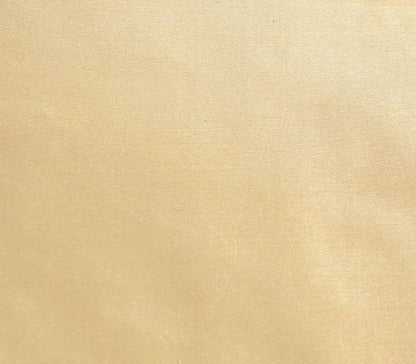Dynasty Taffeta Silk Fabric - Parchment