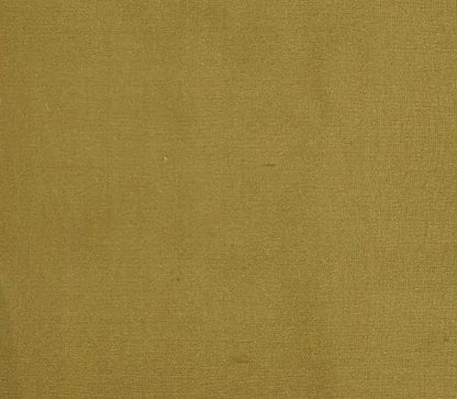Dupioni Silk Solids - Patna