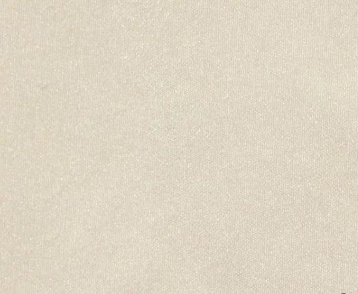 Taffeta BS – Polyester Fabric