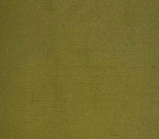 Dupioni Silk Solids - Raipur