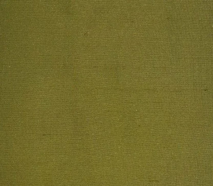 Dupioni Silk Solids - Raipur