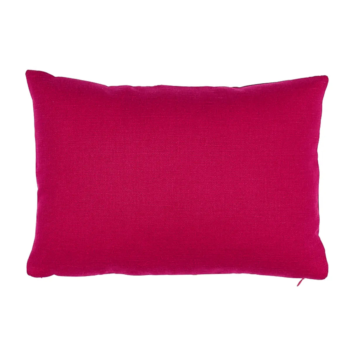 Ashoka Embroidered Tape Pillow