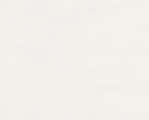 Solid light gray color swatch
Olympia Taffeta Luxury Silk - Snowfall