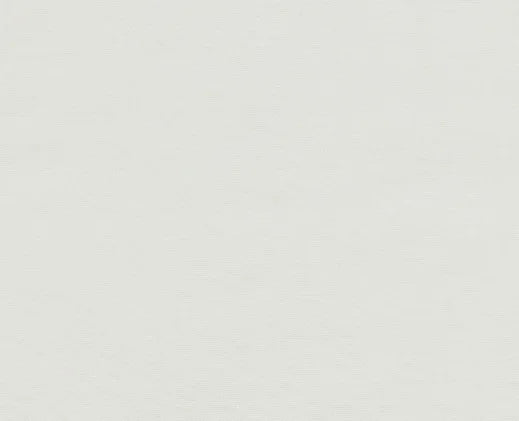 Solid light gray color swatch
Olympia Taffeta Luxury Silk - Starlight