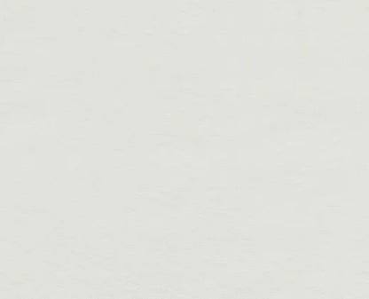 Solid light gray color swatch
Olympia Taffeta Luxury Silk - Starlight