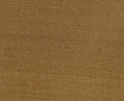 Brown fabric texture swatch
Dupioni Silk Solids