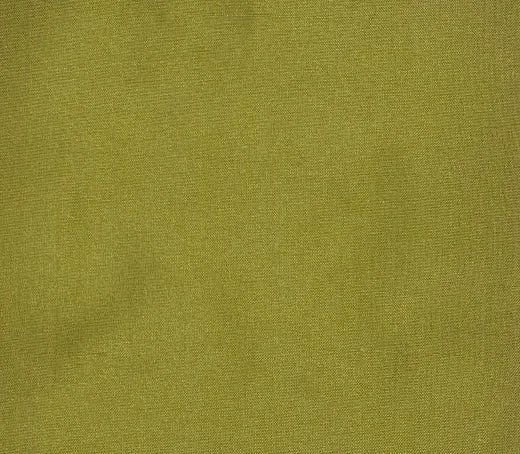 Solid green color swatch with a textured pattern
Dupioni Silk Solids - Vijayawada