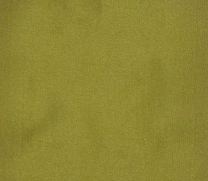Solid green color swatch with a textured pattern
Dupioni Silk Solids - Vijayawada
